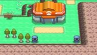 Image via Game Freak